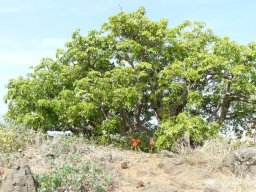 284857_10150265621659901_4747278_n